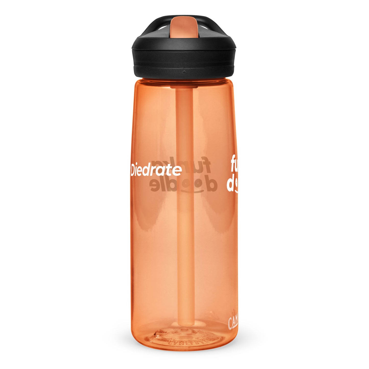 Sports water bottle